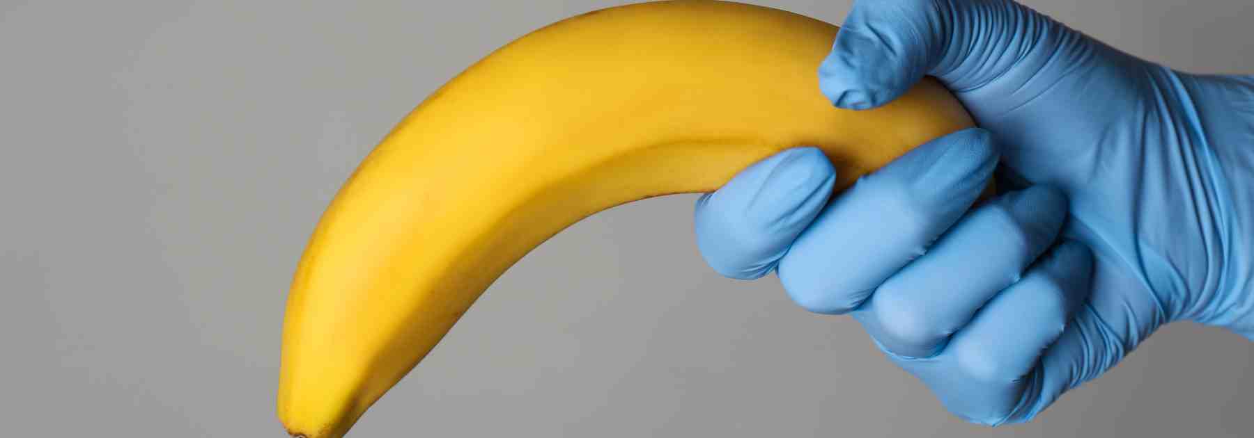 How long can the average man stay erect?